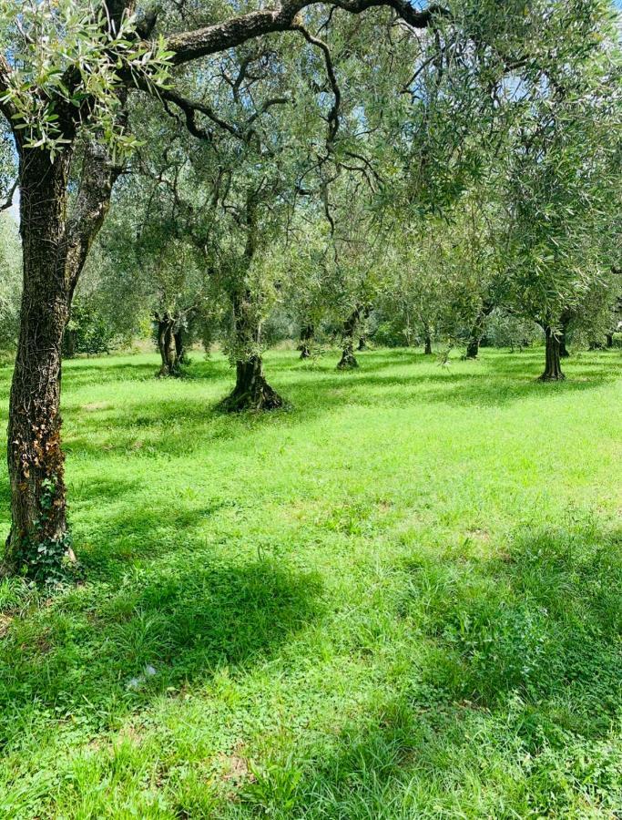 Casa Eva Con Piscina Privata Appartement Moniga del Garda Buitenkant foto